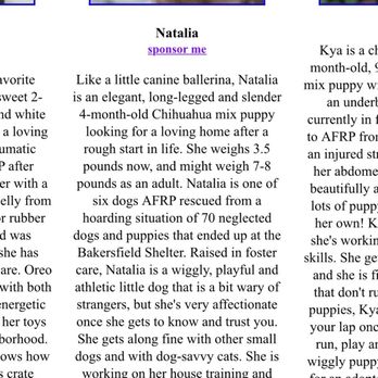 Animal Friends Rescue Project - I love the bios they include for the animals! - Animal Shelters Near Me - Pacific Grove, California