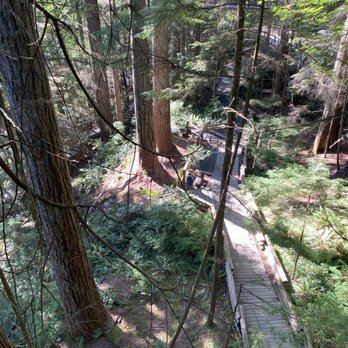 Capilano Suspension Bridge Park - Parks Near Me - North Vancouver, British Columbia