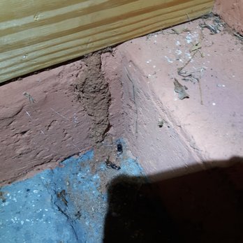 All Seasons Pest Control - Pest Control Near Me