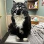 Photo of Countryside Animal Hospital