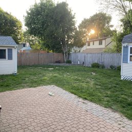 Before - After - A backyard scene featuring a brick patio, a grassy lawn, two small sheds with blue shutters, and trees with sunlight filtering through.