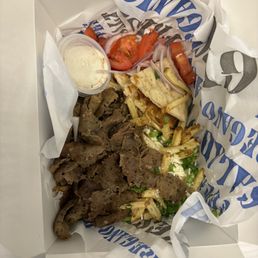 Gyro Plate