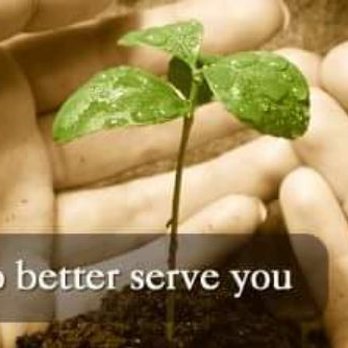NATURE SCIENCE PEST CONTROL - Pest Control Near Me - Rohnert Park, California NATURE SCIENCE PEST CONTROL - Pest Control Near Me - Rohnert Park, California