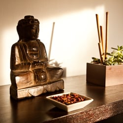 Ana Azizkhani, LAc - Rosa Wellness