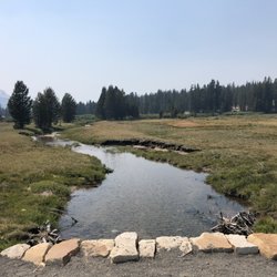 Tuolumne Meadows