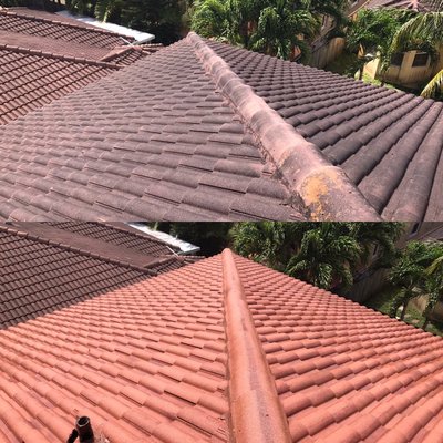 Roof Cleaning Service - Let us Revitalize your Home in just a few hours! Call or Text Us for Free Estimate Today! 909 575 7724 Roof Cleaning Service - Let us Revitalize your Home in just a few hours! Call or Text Us for Free Estimate Today! 909 575 7724