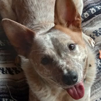 Ruperts at the Edge - you will leave happy and come back now, Twinkle eyes from Aspen - Breakfast & Brunch Near Me - Edgewater, Colorado Ruperts at the Edge - you will leave happy and come back now, Twinkle eyes from Aspen - Breakfast & Brunch Near Me - Edgewater, Colorado