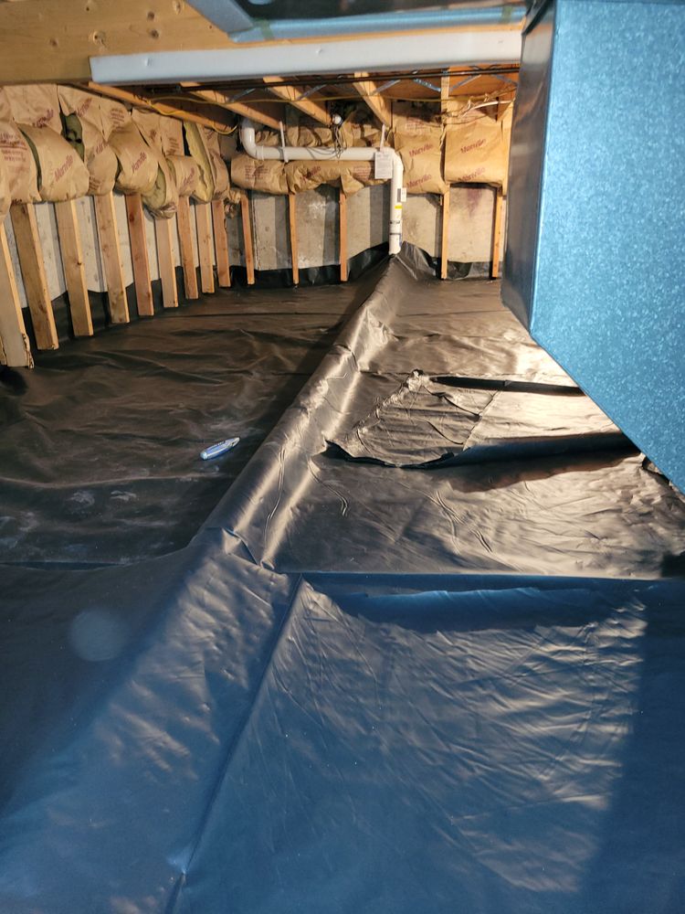 Radon Shield - mold inspector in Longmont, CO