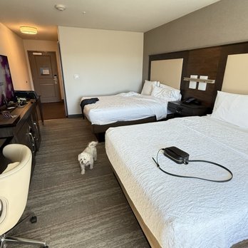 Hampton Inn & Suites Napa - Two queen beds - Hotels Near Me - Napa, California Hampton Inn & Suites Napa - Two queen beds - Hotels Near Me - Napa, California