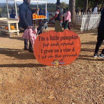 Boa Vista Orchards - Pumpkin patch - Fruits & Veggies Near Me - Placerville, California