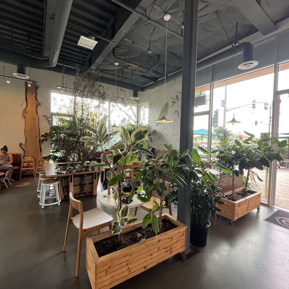 Dot Cafe - Inside - Coffee & Tea Near Me - San Diego, California Dot Cafe - Inside - Coffee & Tea Near Me - San Diego, California