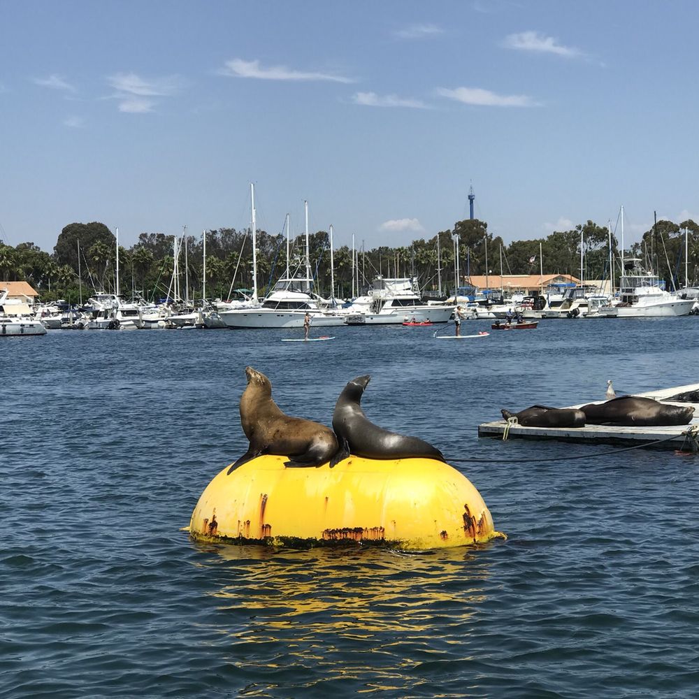 Ship 'N a Bottle - Tours Near Me - San Diego, California Ship 'N a Bottle - Tours Near Me - San Diego, California