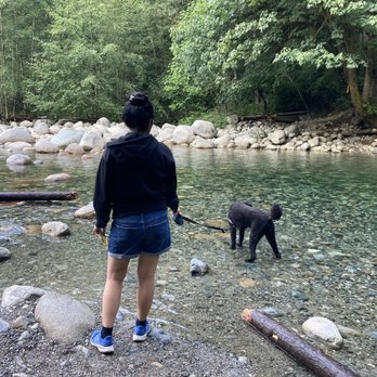 Lynn Canyon Park - Parks Near Me - North Vancouver, British Columbia