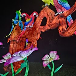 Mounts Botanical Garden - Amazing lights. I was like a kid, in such awe!