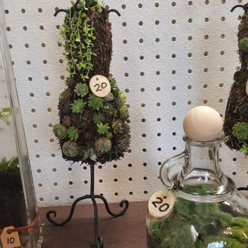 Salem Public Market - Cute decorative plants at the Salem Public Market! - Public Markets Near Me - Salem, Oregon
