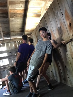 Cosmos Mystery Area by null