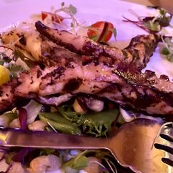 Grilled octopus on a bed of salad. It was very good!