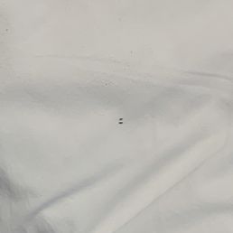 Bed bugs! Bed bugs!