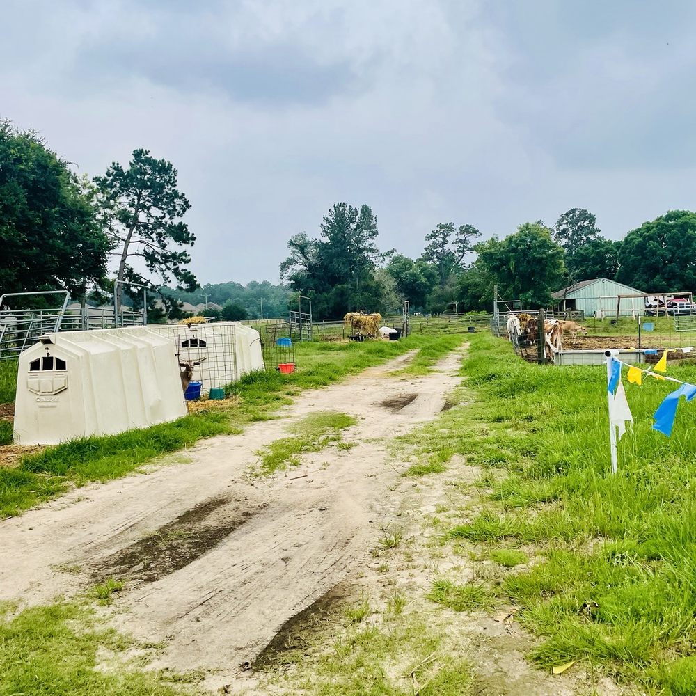 シャツ Supreme Star Football Jersey \