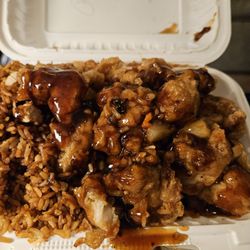 A-1 Chinese Food - Photo of dead Wasp/Bee on my A-1Chinese Takeout food. Was there when box openned at home.