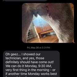 Poughkeepsie Animal Wellness