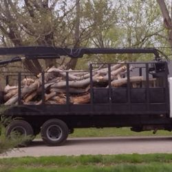 Red's Tree & Services