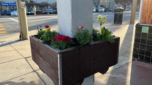 Park Presidio Liquors by null