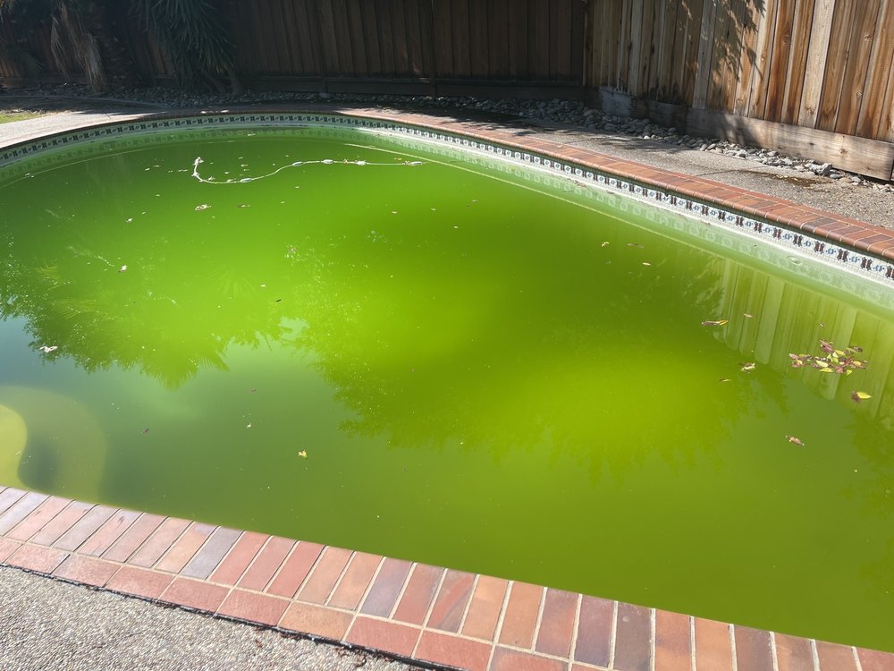 POOL TIME Updated August 2024 33 Reviews 3732 Stanley Blvd, Pleasanton, California Pool