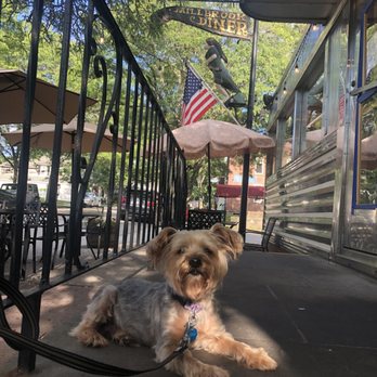 Millbrook Diner - a dog on a leash - Diners Near Me - Millbrook, New York