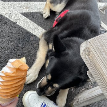 Snowman - Soft Vanilla orange twist - Ice Cream & Frozen Yogurt Near Me - Troy, New York
