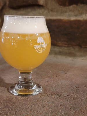 Bike House Brewing by null