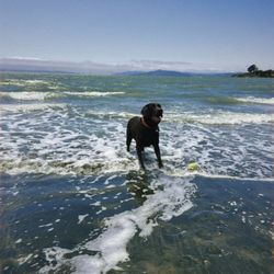 Albany Beach