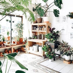 Solabee Flowers & Botanicals - Our potting bench to pot up your new plants or build your own terrarium!