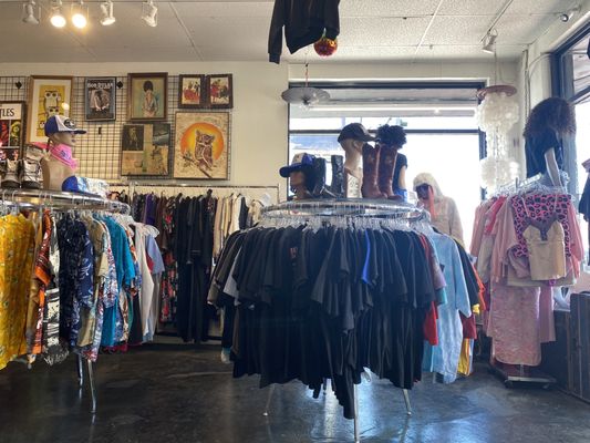 The Red Kat Vintage by null