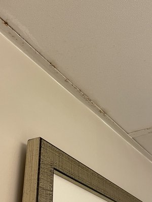 Sea Crest Beach Resort by null