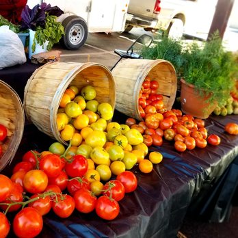 Ahwatukee Farmers' Market - variety of tomatoes - Farmers Market Near Me - Phoenix, Arizona Ahwatukee Farmers' Market - variety of tomatoes - Farmers Market Near Me - Phoenix, Arizona