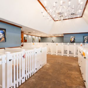 Barking Hound Village - Dallas on Yelp