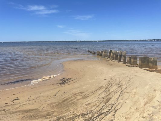 Tarkiln Bayou Preserve State Park by null