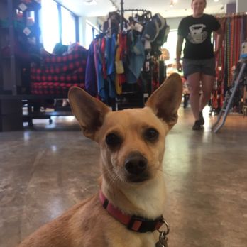 For Paws - ricky loves it! - Pet Stores Near Me - Portland, Oregon