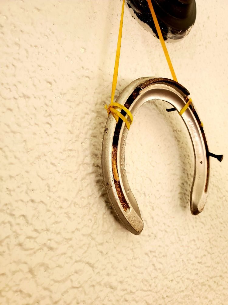 Social spots from Clover Pine