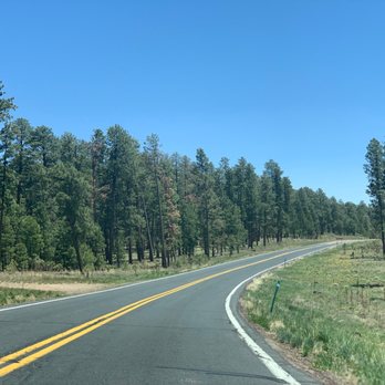 Kaibab National Forest - Hiking Near Me - Williams, Arizona Kaibab National Forest - Hiking Near Me - Williams, Arizona