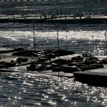 Flagship Cruises & Events - Boat Charters Near Me - San Diego, California Flagship Cruises & Events - Boat Charters Near Me - San Diego, California