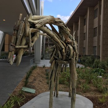 Butternut - Public Art Near Me - Palo Alto, California Butternut - Public Art Near Me - Palo Alto, California