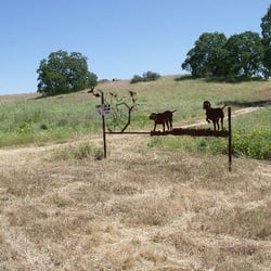 Red Dog Firearms - Entrance to Red Dog Range