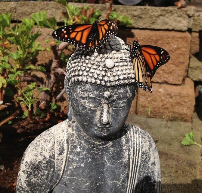 Barrette Counseling Services - grief counselor in Tucson, AZ