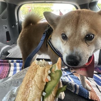 Coda Bakery - 6. Grilled Pork Banh Mi - Sandwiches Near Me - Albuquerque, New Mexico