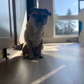 TENDER TOUCH SMALL ANIMAL HOSPITAL - Updated January 2025 - 13 