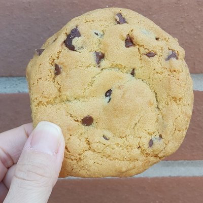 Mystic Muffin by null