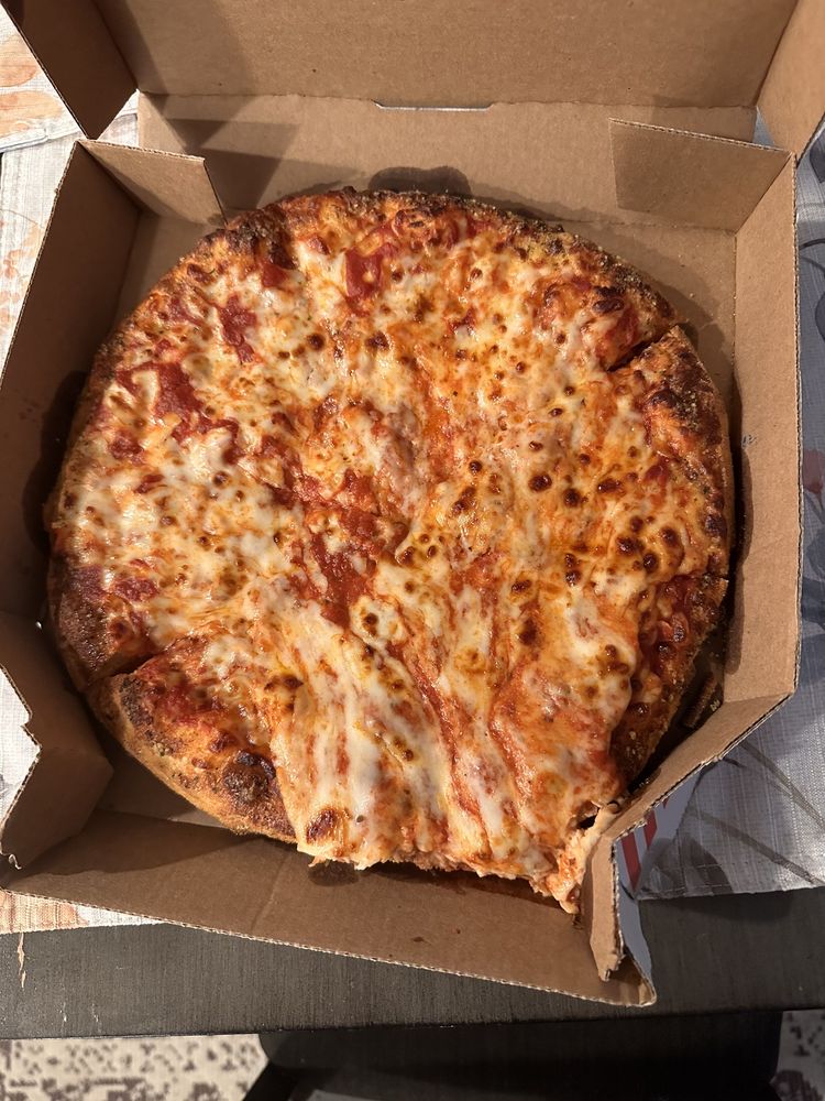 Domino's Pizza Logo