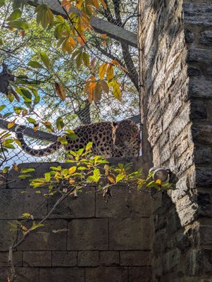 Philadelphia Zoo by null